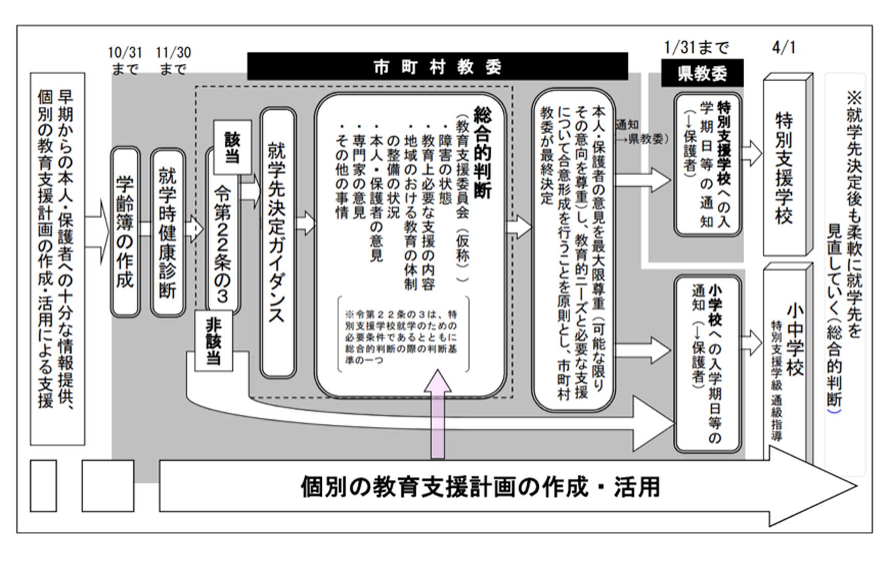 特別支援教育の概要 画像